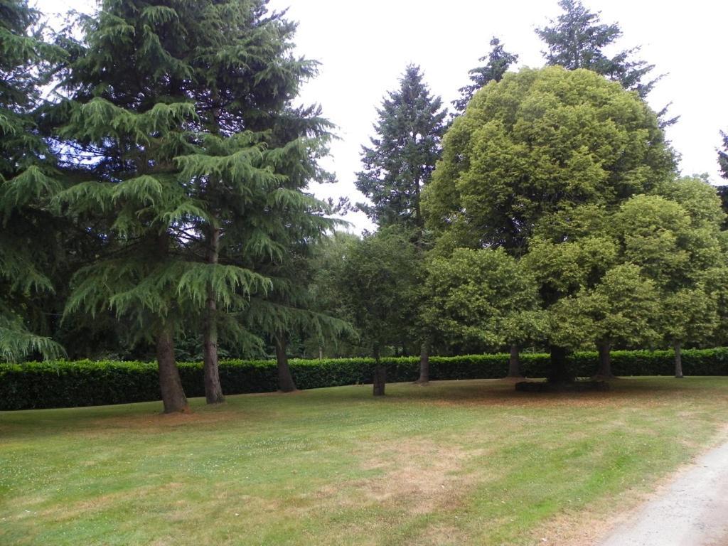 Bed and Breakfast Manoir De Saint-Fiacre Malansac Esterno foto